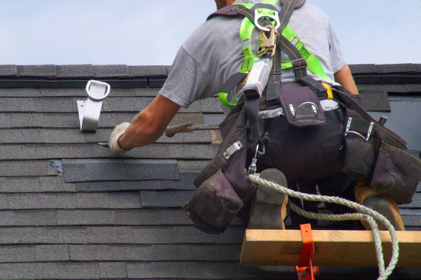Best Roof Gutter Cleaning  in East Douglas, MA