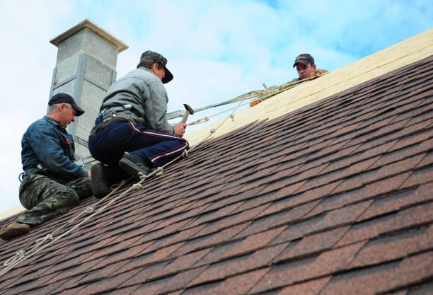 Best Local Roofing Companies  in East Douglas, MA